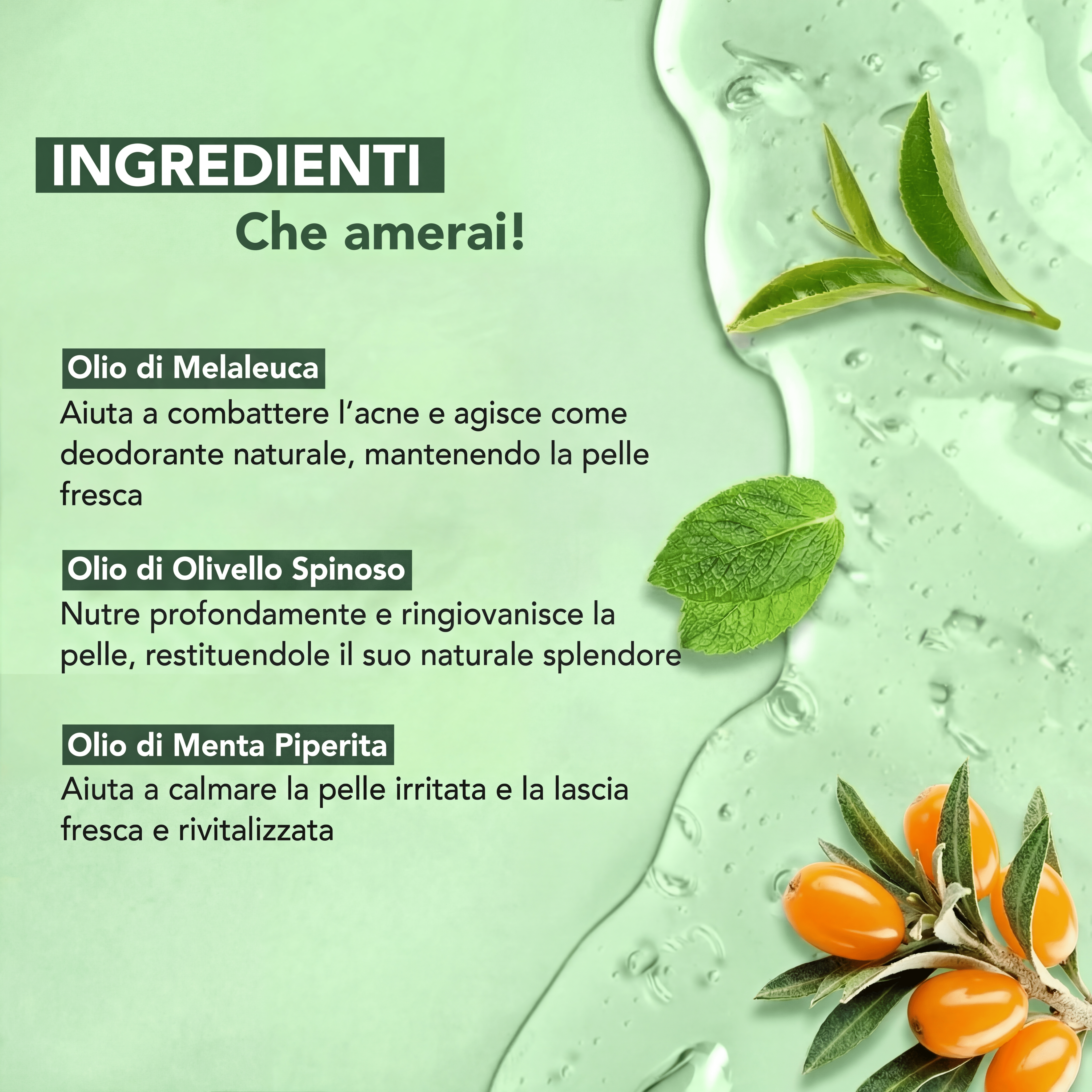 Gel Doccia all'Olio di Melaleuca - VERDORIA